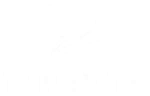 LOGO TINEXTA WEBP e1731317741770